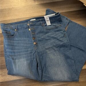 LOFT High Rise Blue Jeans